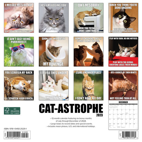 | FREESHIP | Cat-Astrophe 2024 12" x 12" Wall Calendar - Funny Cat Wall Calendar