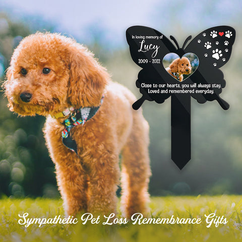 Loved And Remembered Everyday Garden Stake - Personalized Custom Acrylic Garden Stake for Loss of Dogs and Cats