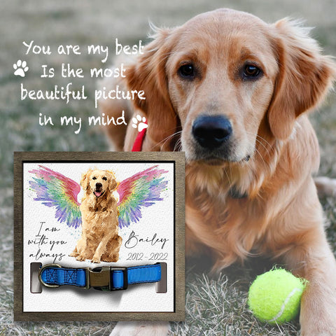 I'm With You Always Personalized Pet Loss Sign - Upload Image Pet Memorial Gifts For Dogs Dog Remembrance Gift