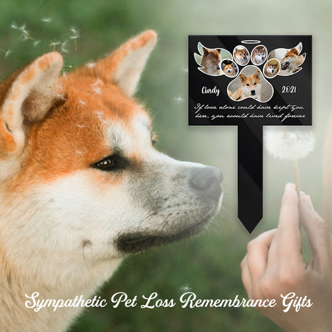 You Would Have Lived Forever Garden Stake - Personalized Custom Acrylic Garden Stake for Loss of Dogs and Cats