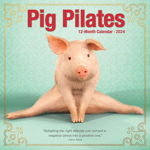 | FREESHIP | Pig Pilates 2024 Wall Calendar