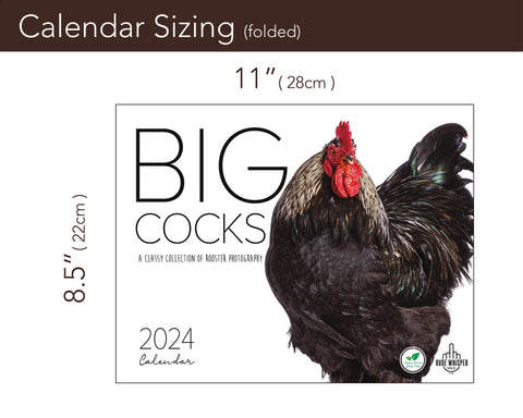 | FREESHIP | Big Cocks 2024 Wall Calendar - Rooster Art