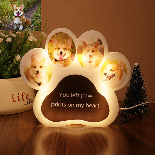 Custom Dog Paw Acrylic Photo Light