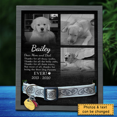 Thanks For All Those Walks - Upload Image, Personalized Memorial Pet Loss Sign (11x9 inches)