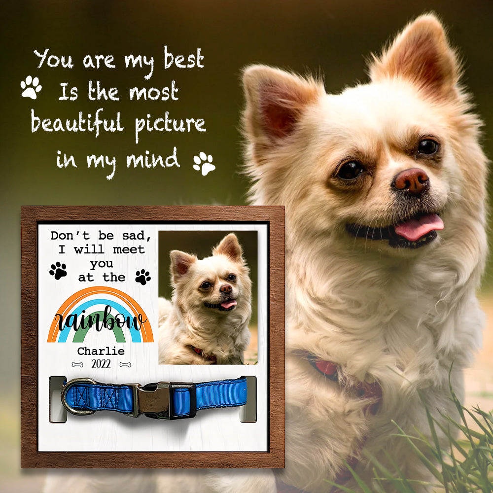 Don't Be Sad I'll Will Meet You At The Rainbow Personalized Pet Loss Sign - Upload Image Pet Memorial Gifts For Dogs Dog Remembrance Gift
