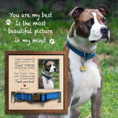 For EVERY TIME You Think Of Me I'm RIGHT HERE Inside Your Heart Personalized Pet Loss Sign - Upload Image Pet Memorial Gifts For Dogs Dog Remembrance Gift