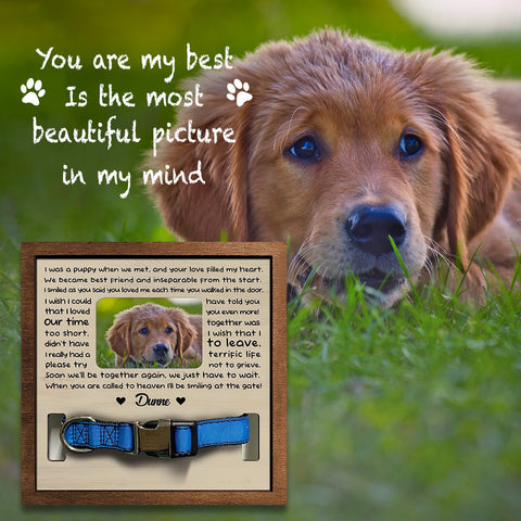 When You Are Called To Heaven I'll Be Smiling At The Gate Personalized Pet Loss Sign - Upload Image Pet Memorial Gifts For Dogs Dog Remembrance Gift