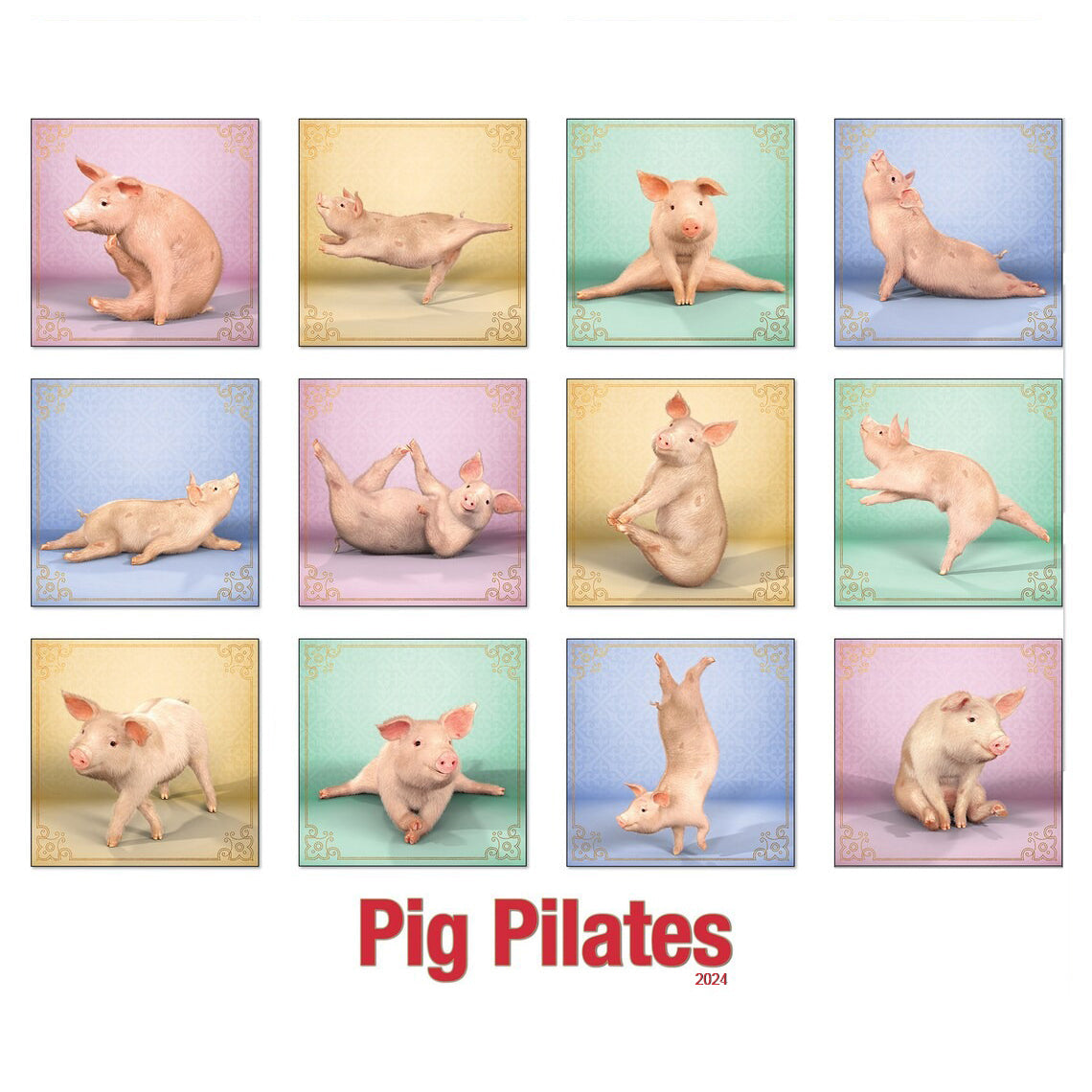 | FREESHIP | Pig Pilates 2024 Wall Calendar
