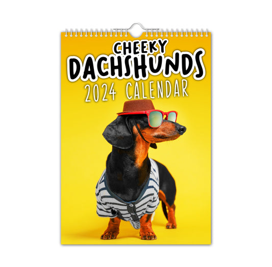 | FREESHIP | Cheeky Dachshunds - 2024 Wall Calendar