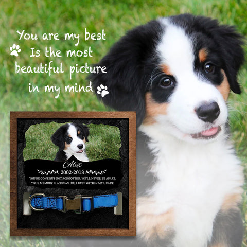 You're Gone But Not Forgotten Personalized Pet Loss Sign - Upload Image Pet Memorial Gifts For Dogs Dog Remembrance Gift