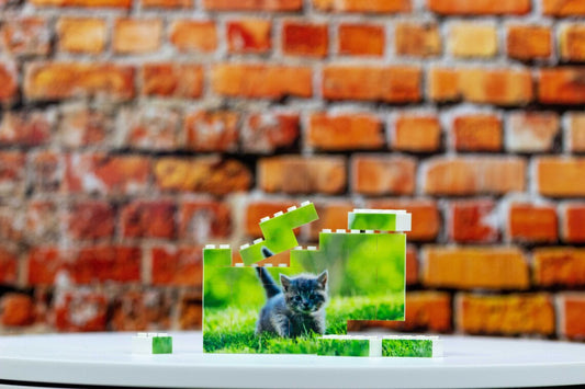 Personalized Building Brick Photo Block Puzzle Gift for Pet Lovers - Gift, Him, Birthday, Anniversary, Cat, Dog