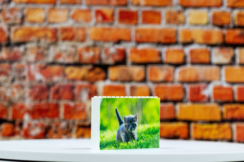 Personalized Building Brick Photo Block Puzzle Gift for Pet Lovers - Gift, Him, Birthday, Anniversary, Cat, Dog