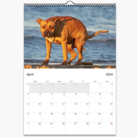 | FREESHIP | 2024 Pooping Dogs Calendar - Funny Dog Lover Gift for Men Women Kids Birthday