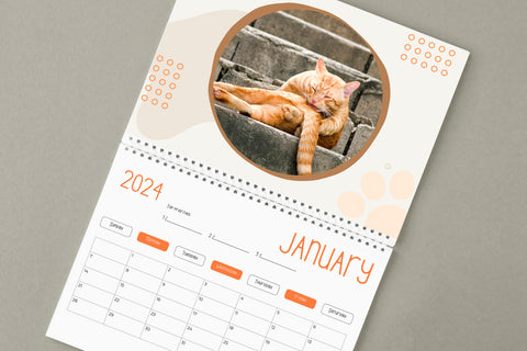 | FREESHIP | Cats Buttholes Calendar 2024 - Funny Gift