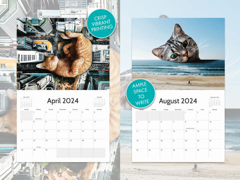 | FREESHIP | 2024 Lazy Cat Calendar - Cat Wall Calendar - Gift for Cat Lovers