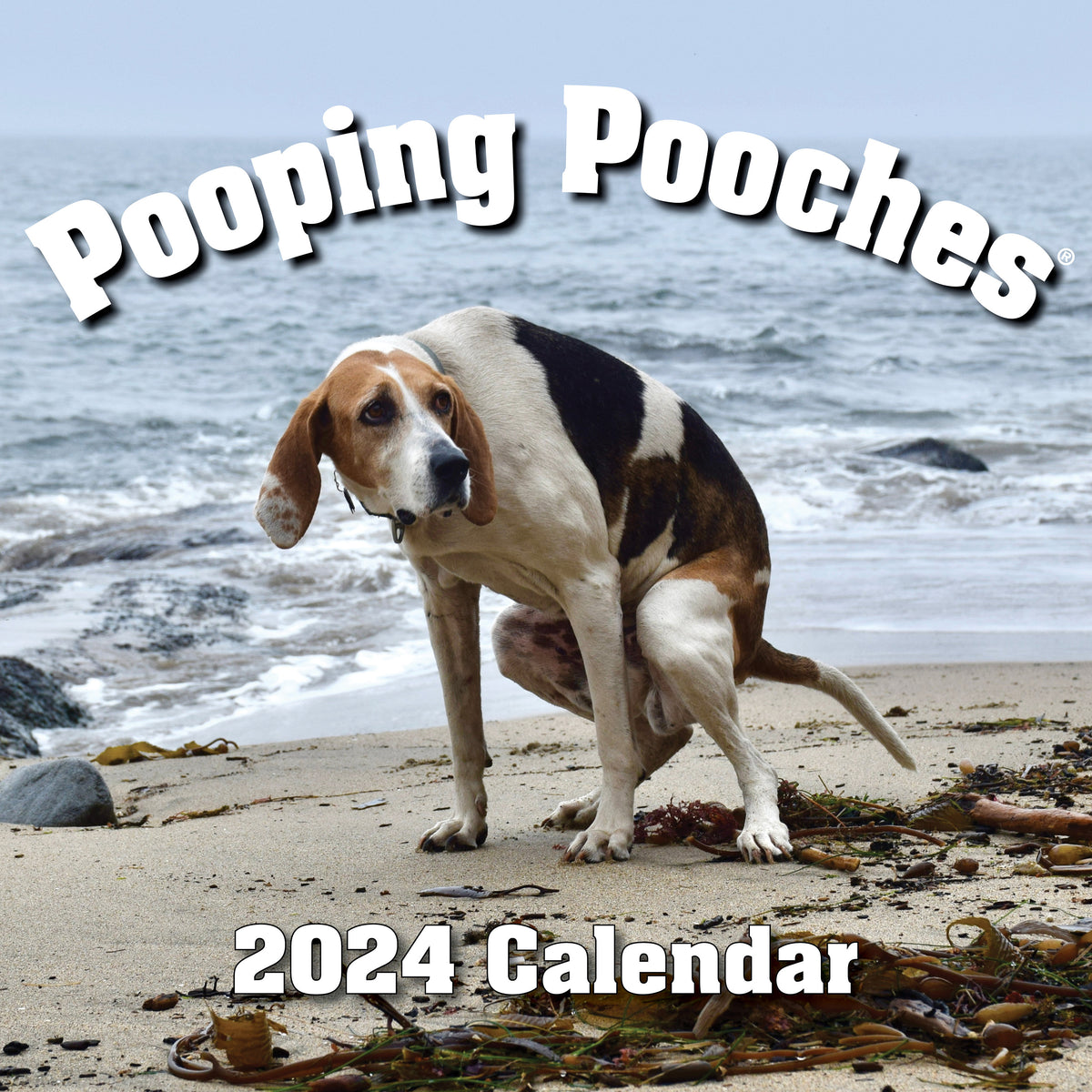 | FREESHIP | 2024 Pooping Pooches Dog Calendar