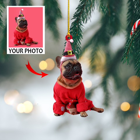 Customized Photo Ornament - Personalized Photo Mica Ornament - Christmas Gift For Pet Lovers, Dog Mom, Cat Mom | Dog