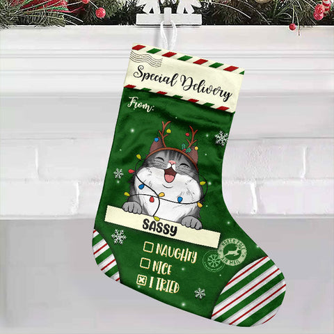 Special Delivery To Santa - Christmas Dogs & Cats - Personalized Christmas Stocking