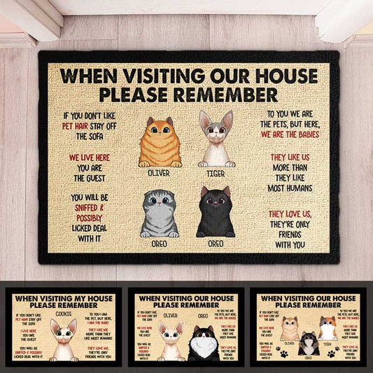 Pets' Rules When Visiting Our House - Cats And Dogs Personalized Decorative Mat