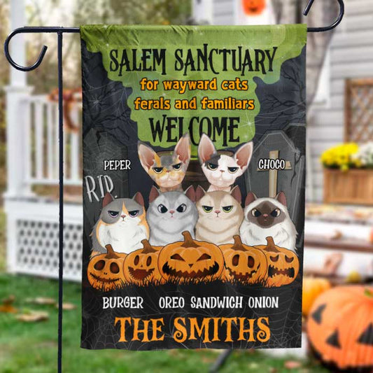 Salem Sanctuary For Wayward Cats - Personalized Funny Cat Flag