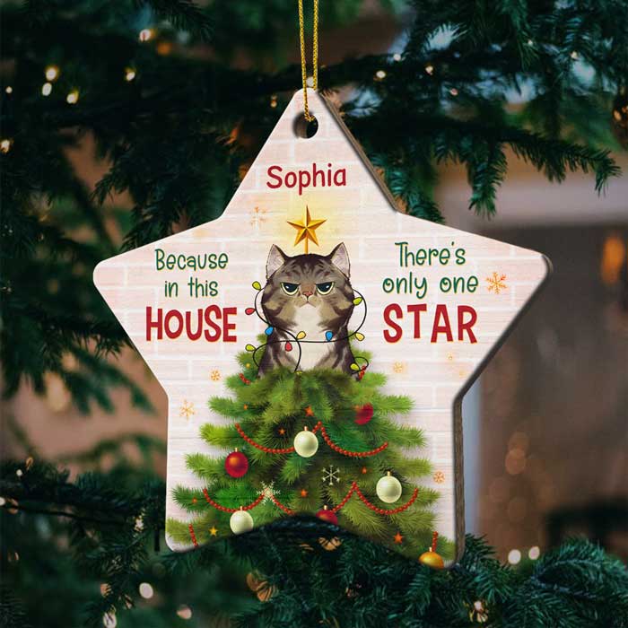 Because In This House - There's Only One Star - Personalized Shaped Ornament