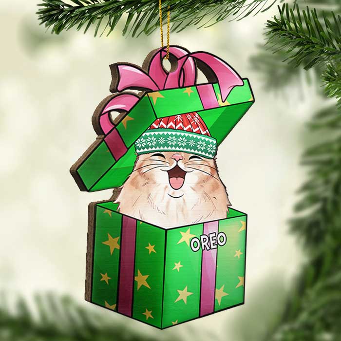 Christmas Gift Box - Dogs And Cats - Personalized Shaped Ornament