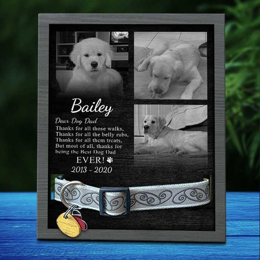 Thanks For All Those Walks - Upload Image, Personalized Memorial Pet Loss Sign (11x9 inches)
