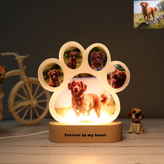 Custom Dog Paw Acrylic Lamp