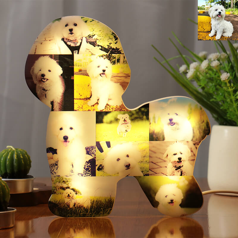 Personalized Dog Breed Photo Collage Lamp