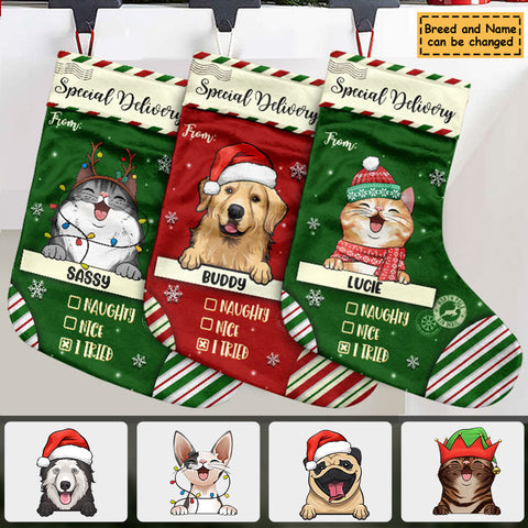 Special Delivery To Santa - Christmas Dogs & Cats - Personalized Christmas Stocking