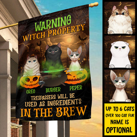 Warning Witch Property - Personalized Funny Cat Flag