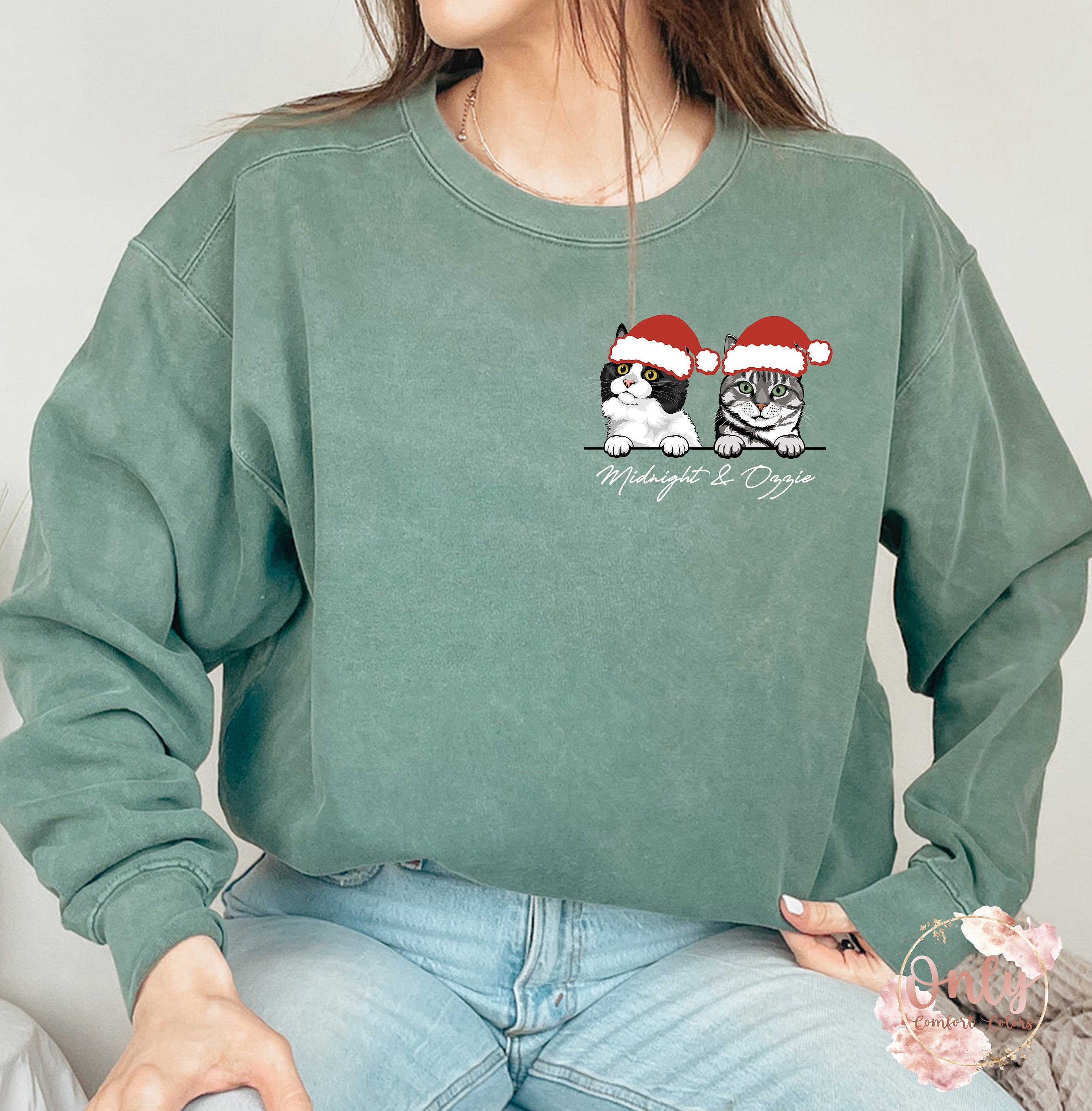 Custom Cat Santa Hat Sweatshirt - Personalized Cat Sweatshirt, Christmas Gifts