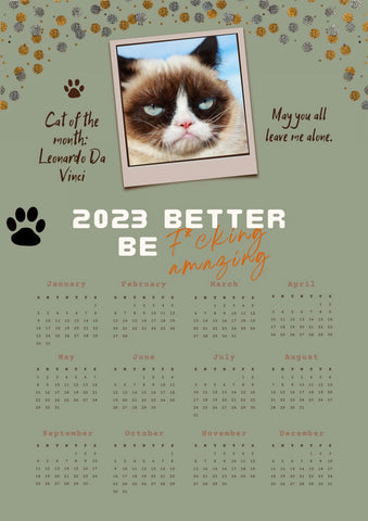 Funny Cat Calendar 2023 - Gift for cat lover