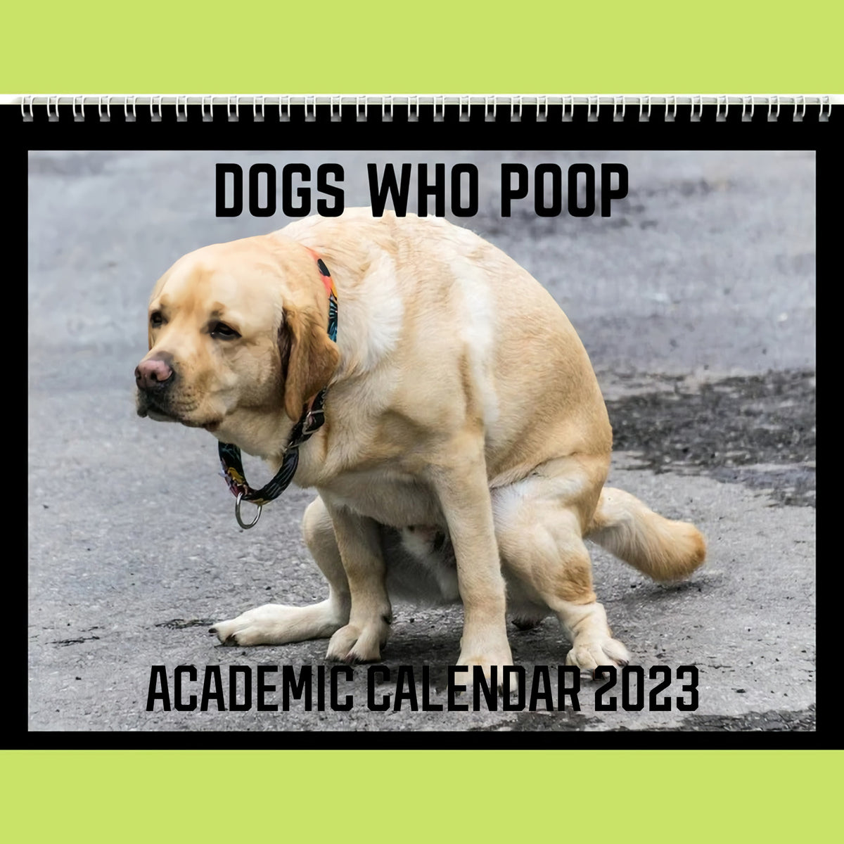Funny Dogs Who Poop Academic Calendar 2023 Gift Idea For Dog