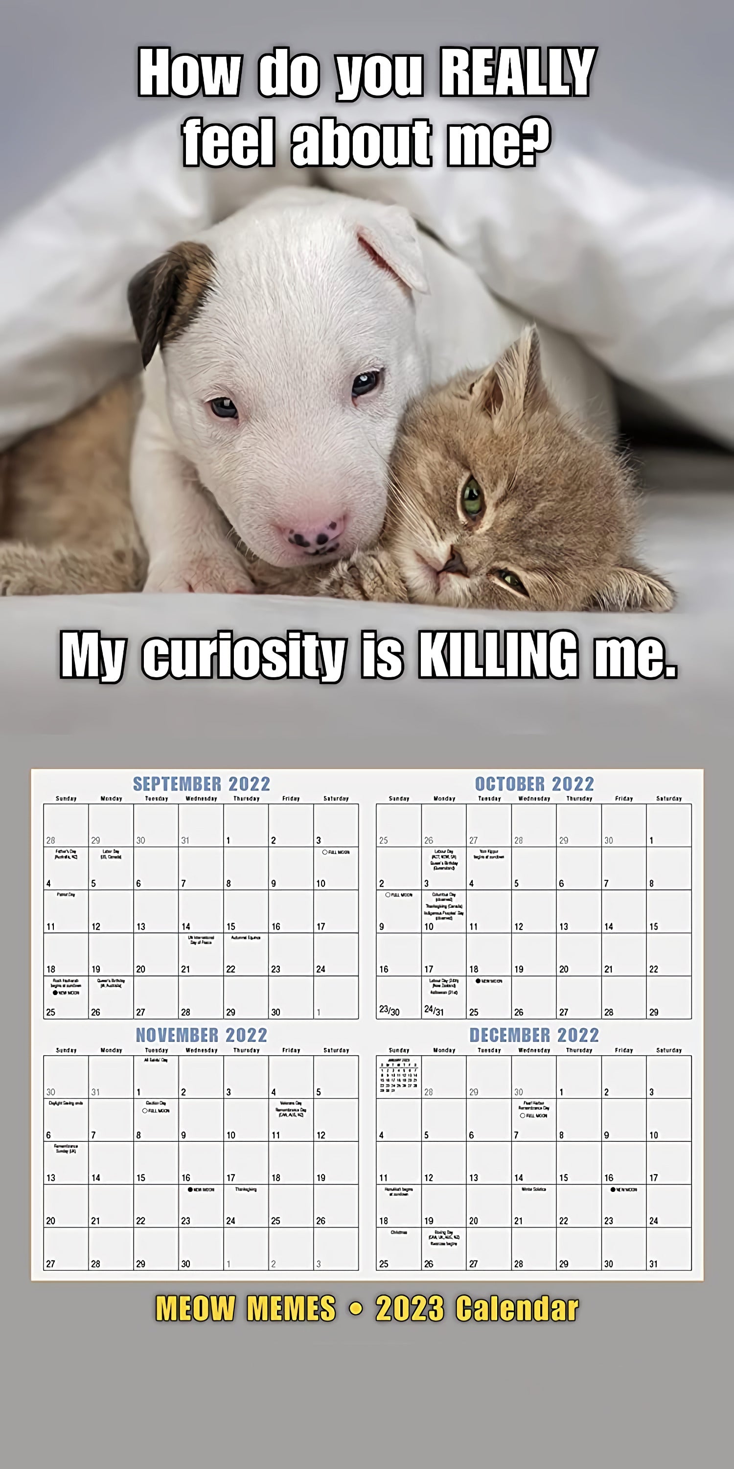 2023 Meow Memes Wall Calendar