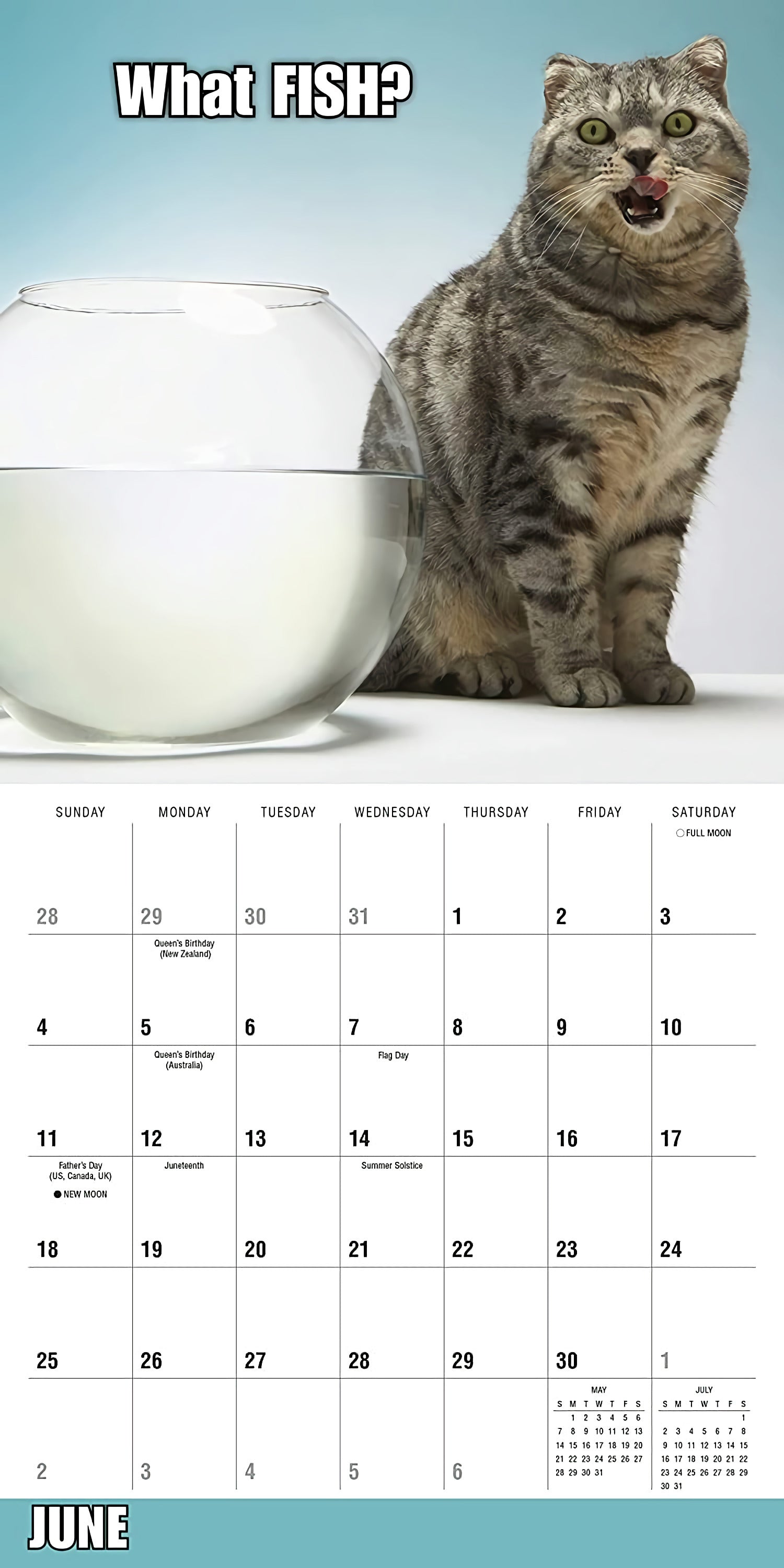 2023 Meow Memes Wall Calendar