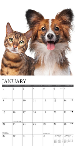 Cats & Dogs 2023 Wall Calendar