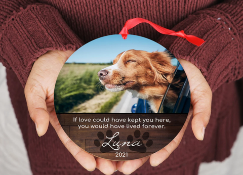 Personalized Pet Sympathy Gift - Christmas Photo Ornament