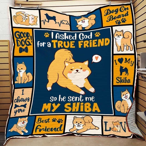 I Asked God For A True Friend So He Sent Me My Shiba Quilt Blanket