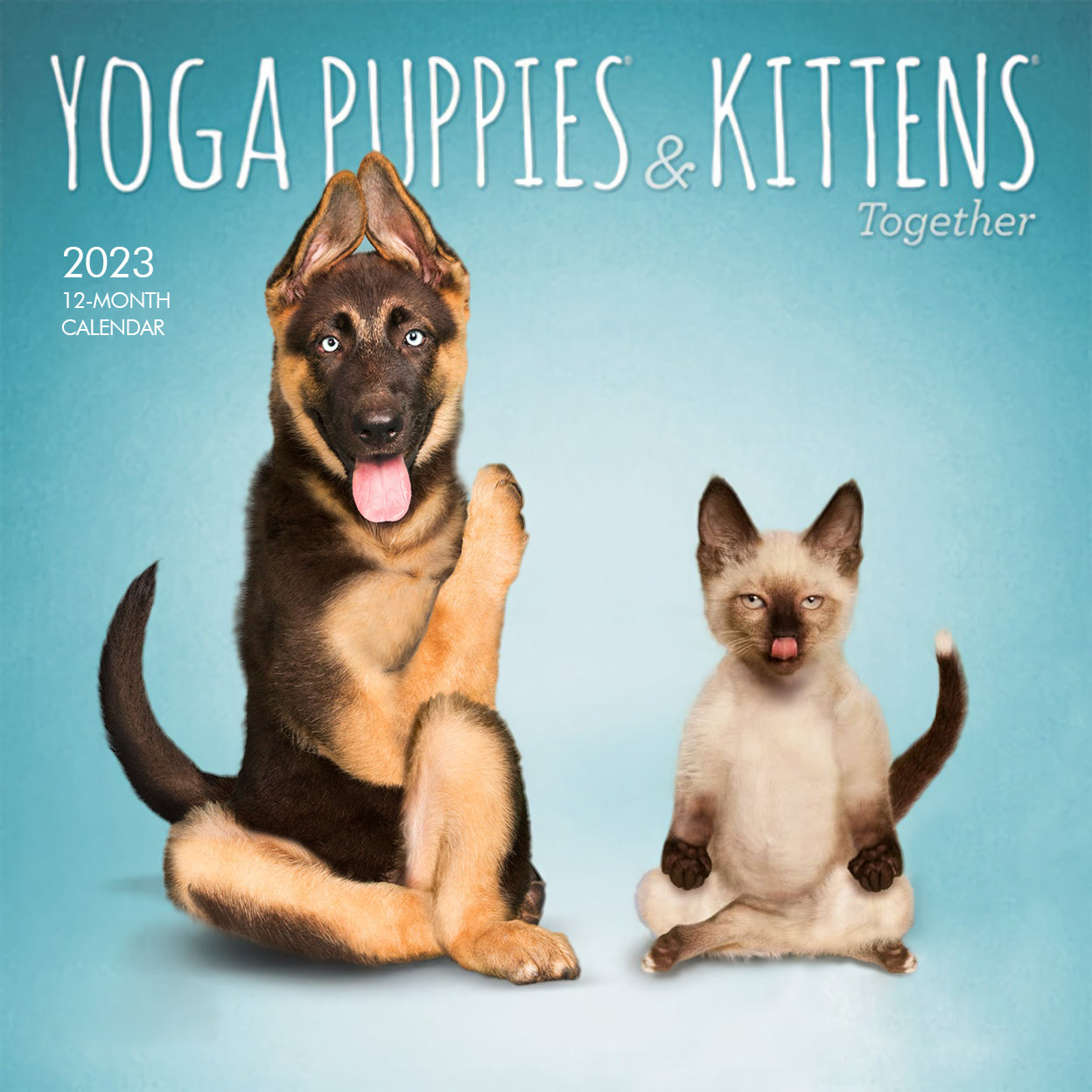 Yoga Puppies & Kittens 2023 Mini Wall Calendar