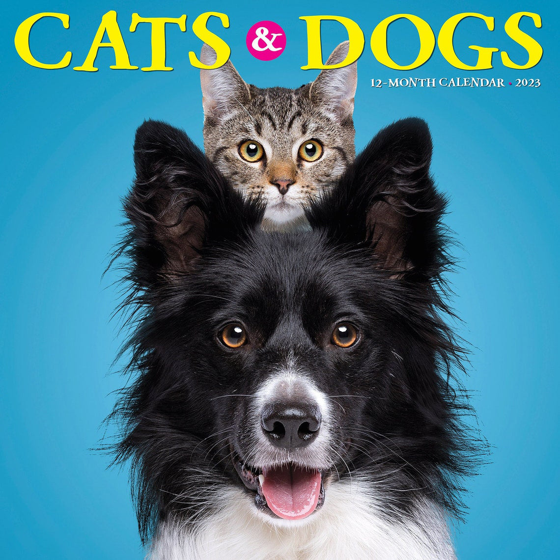 Cats & Dogs 2023 Wall Calendar