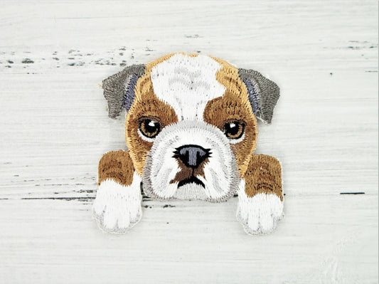 Bulldog Dog iron on patch - Embroidered Patch