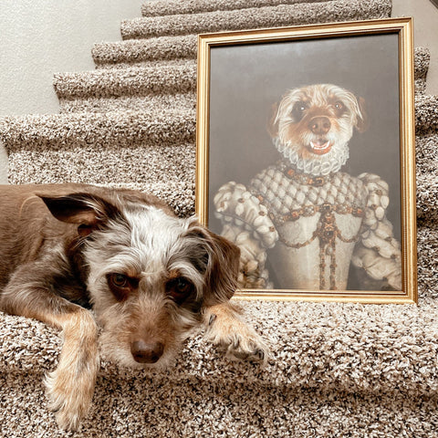 Renaissance Animal Painting, Custom Dog Portrait, Funny Pet Lover Gift
