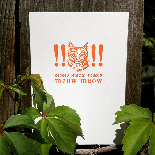 6 Greeting Cards Meow Meow Ridiculous Cat Cards - Funny Cat Lover Card Freeshipping