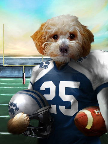 Dallas Football Team Pet Portrait, Custom American Football Fan Gift Art
