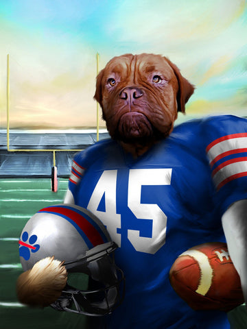 Dallas Football Team Pet Portrait, Custom American Football Fan Gift Art