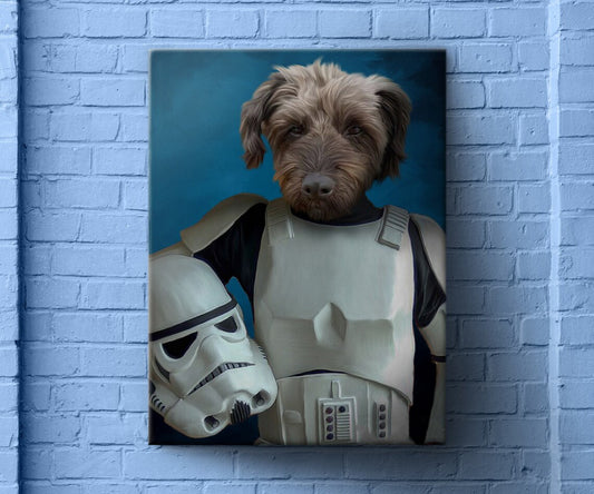Pop Culture Art, Trooper, Funny Pet Gift, Jedi Art