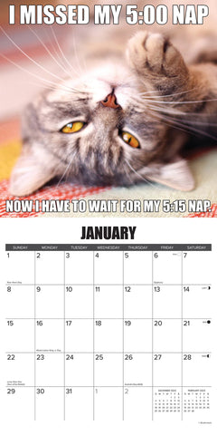 | FREESHIP | Cat-Astrophe 2024 12" x 12" Wall Calendar - Funny Cat Wall Calendar