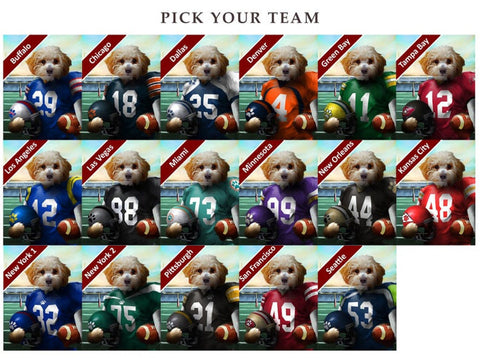 Los Angeles Football Team Pet Portrait, Custom American Football Fan Gift Art