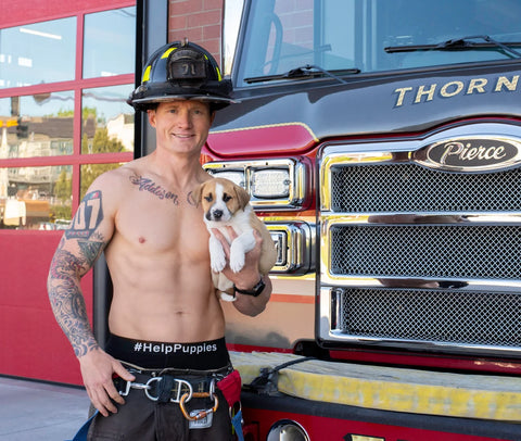 | FREESHIP | 2024 Fire Rescue Dogs Calendar